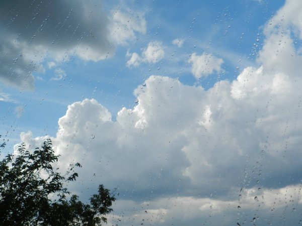 Косой дождь картинки