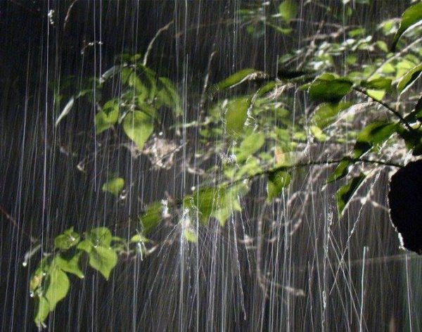 Косые дожди