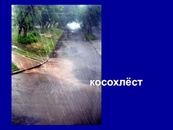 Дождь косохлёст