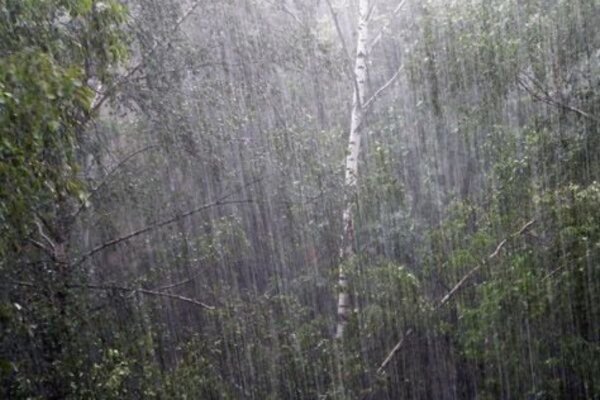 Косой дождь