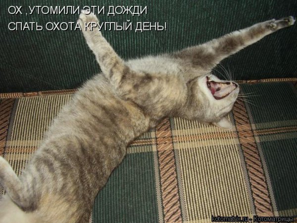 Доброе утро спать охота