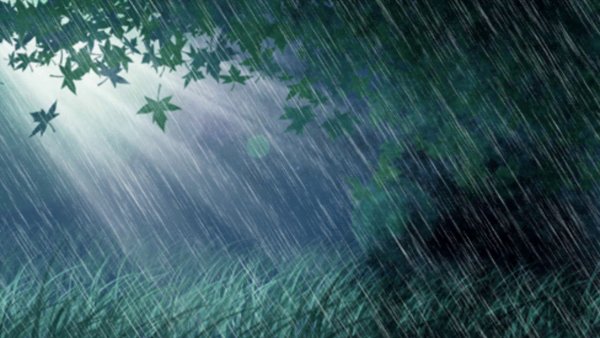 Тропический ливень анимация