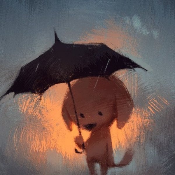 Сонный дождь