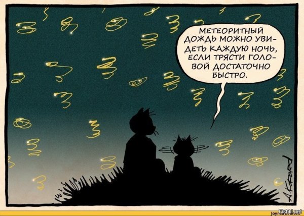 Ночь цитаты прикольные