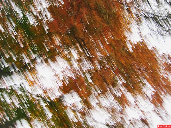 Косой осенний дождь