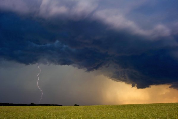 Шквал (ветер)