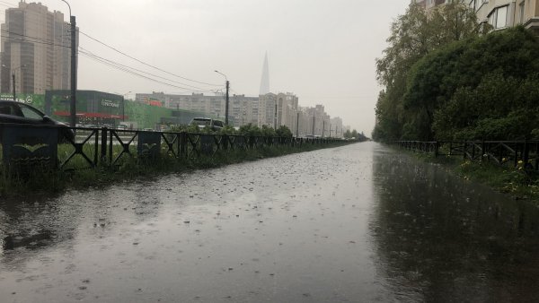 Дождливый город