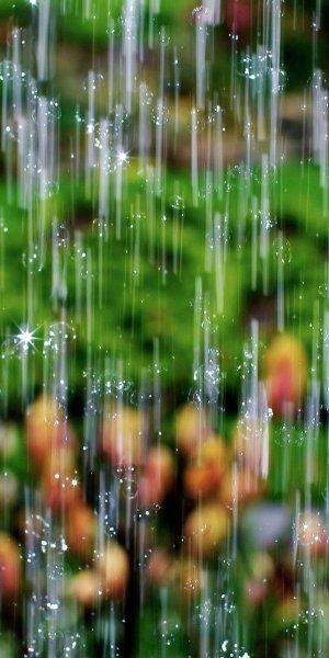 Природа дождь