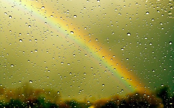 Обои на рабочий стол дождь