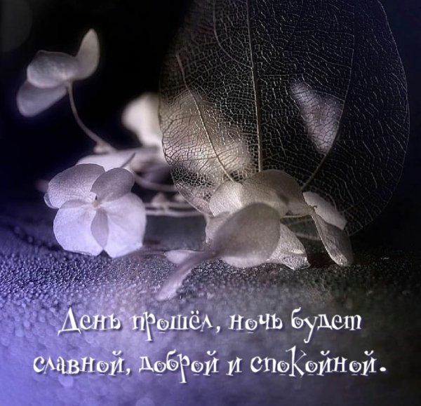 Открытка день прошел спокойно ночи