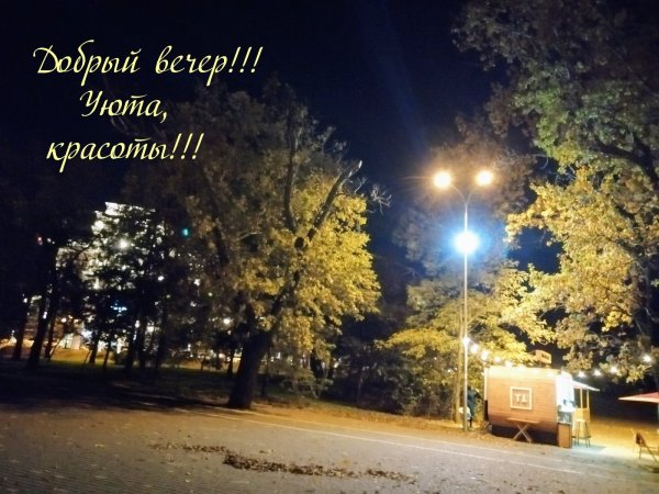 Спокойной ночи город осень