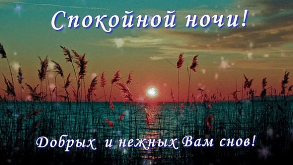 Доброй ночи летом