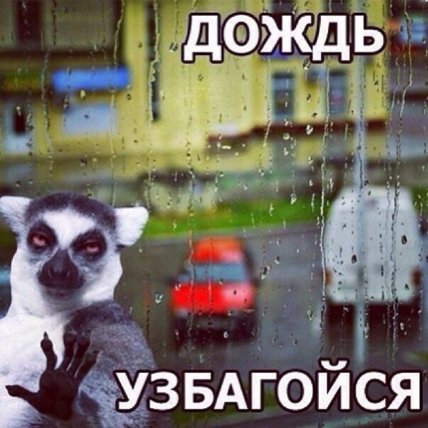 Приколы про дождь