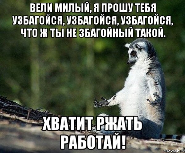 Обними меня и узбагойся