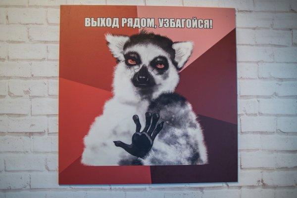 Музей мемов Москва