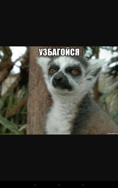 Узбагойся приложение