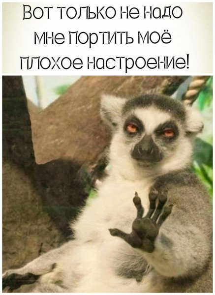 Узбагойтесь девочки картинка