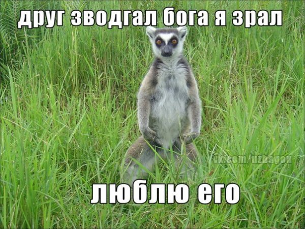 Мегион збагойный дом