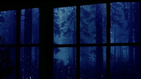 Дождь за окном