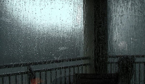 Дождь за окном