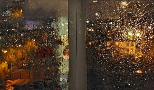 Дождливый вид из окна