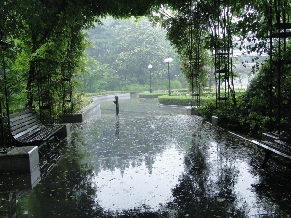 Летний дождь в городе