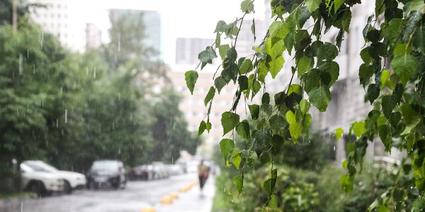 Фото дождя на улице