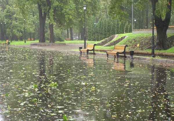 Дождь в парке летом