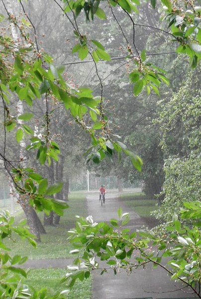 Весна дождь