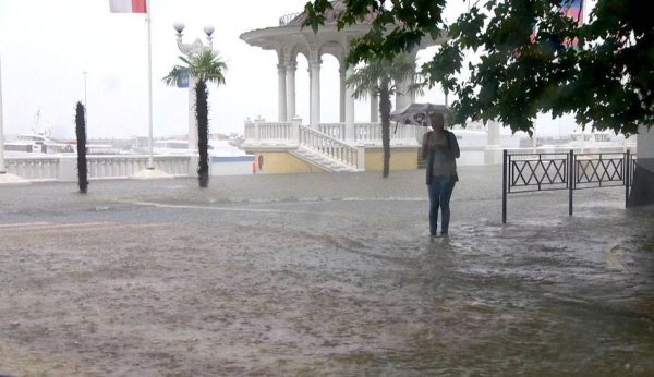 Дождь в Сочи зимой