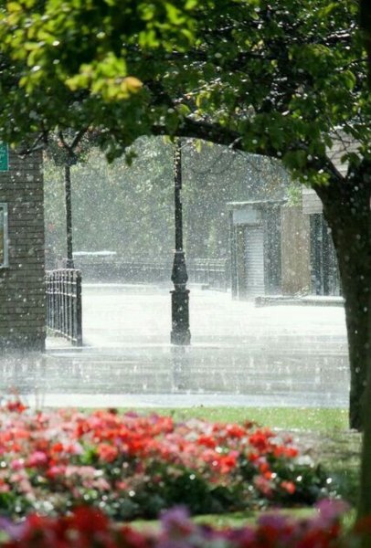 Дождливый летний день