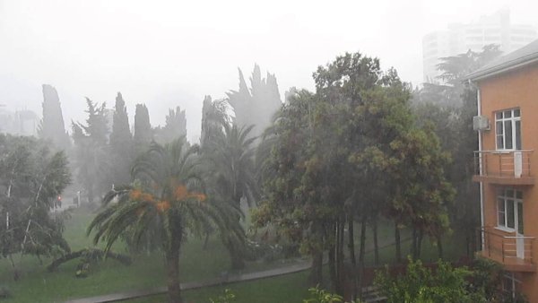 Адлер в апреле дождливый