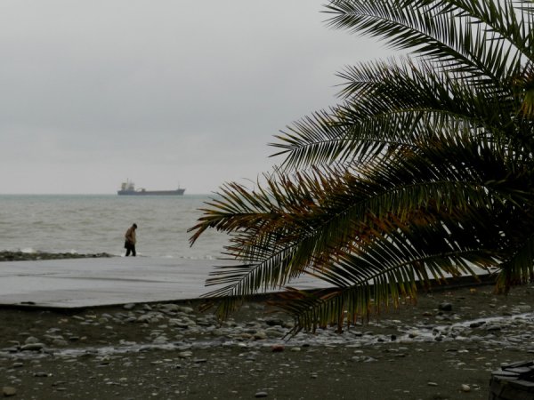 Декабрьские дожди в Сочи