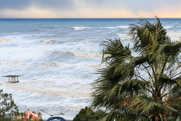 Климат в Сочи летом