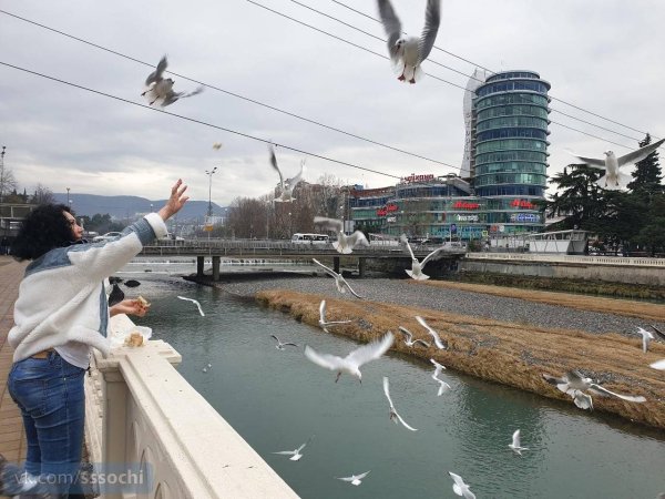 Декабрьские дожди в Сочи