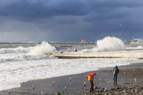 Сочи Адлер шторм