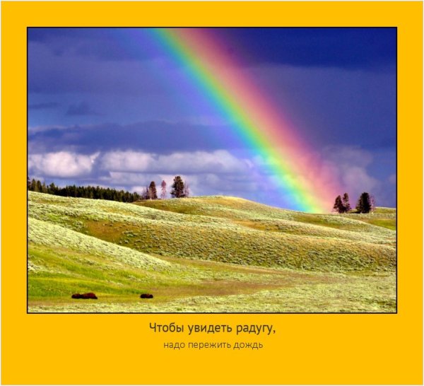 Чтобы увидеть радугу надо пережить дождь