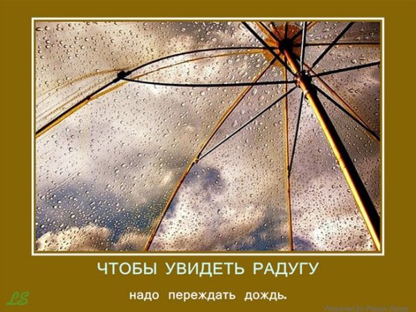 Цитаты про дождь