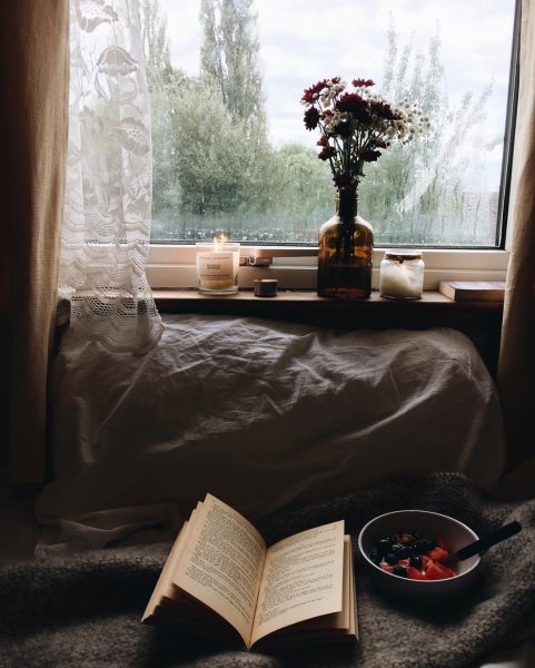 Уютный вечер у окна