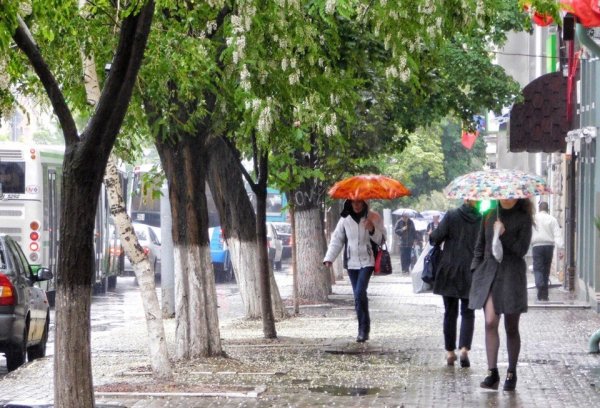 Дождливая Весна в Ростове на Дону