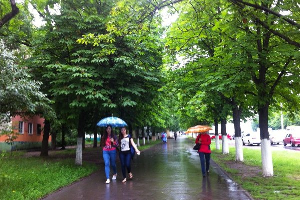 Летний дождь в Ростове на Дону