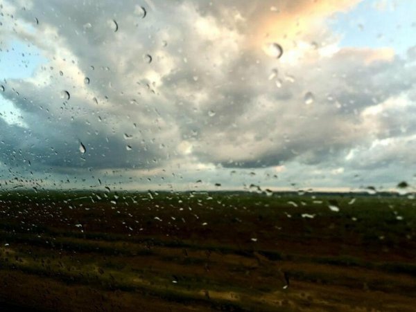 Ливень с грозой