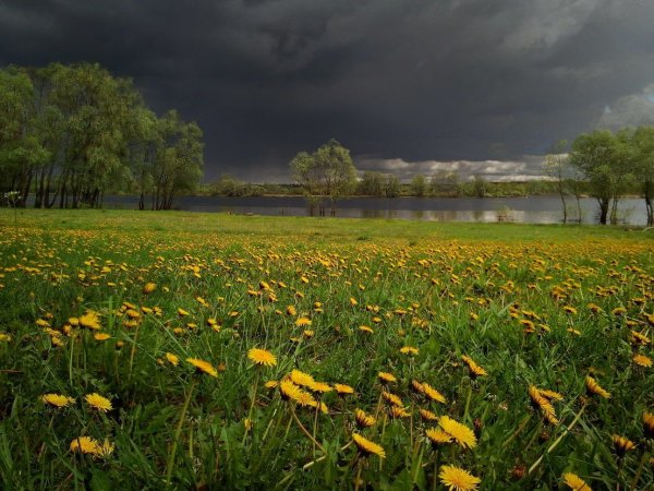 Пасмурный летний день