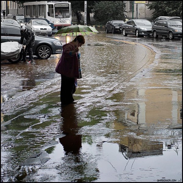 Кислотные дожди и человек