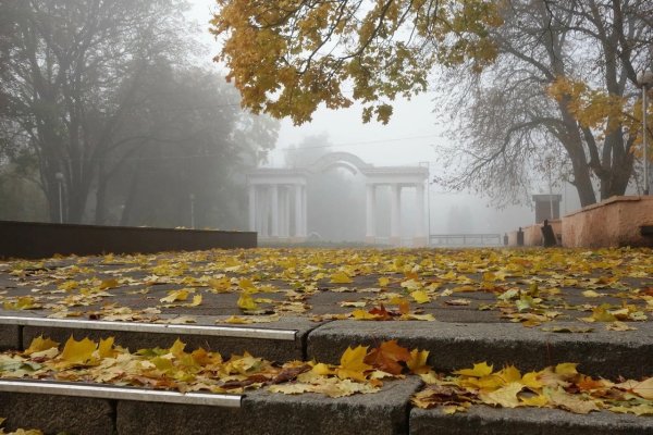 Парк Горького Казань осенью