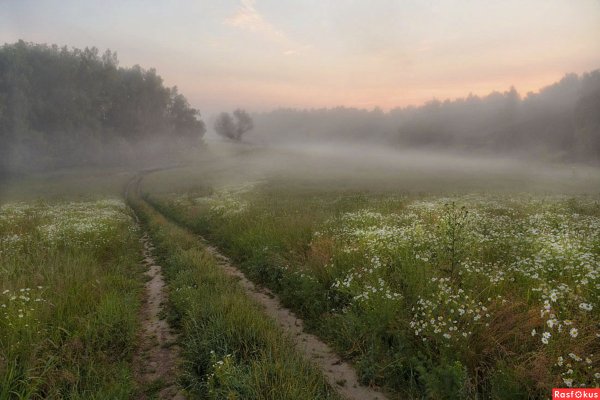 Утренний туман