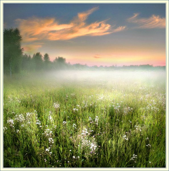 Радуга над лугом