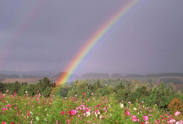 Красивая природа с радугой