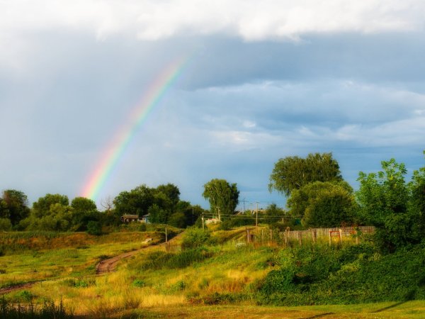 Летний дождь Радуга
