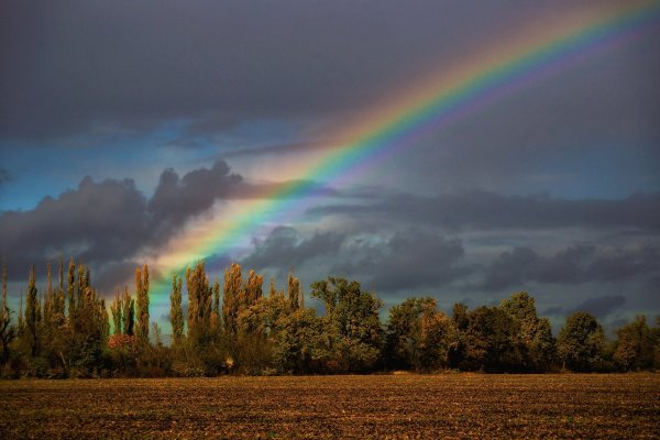 Дождь для радуги